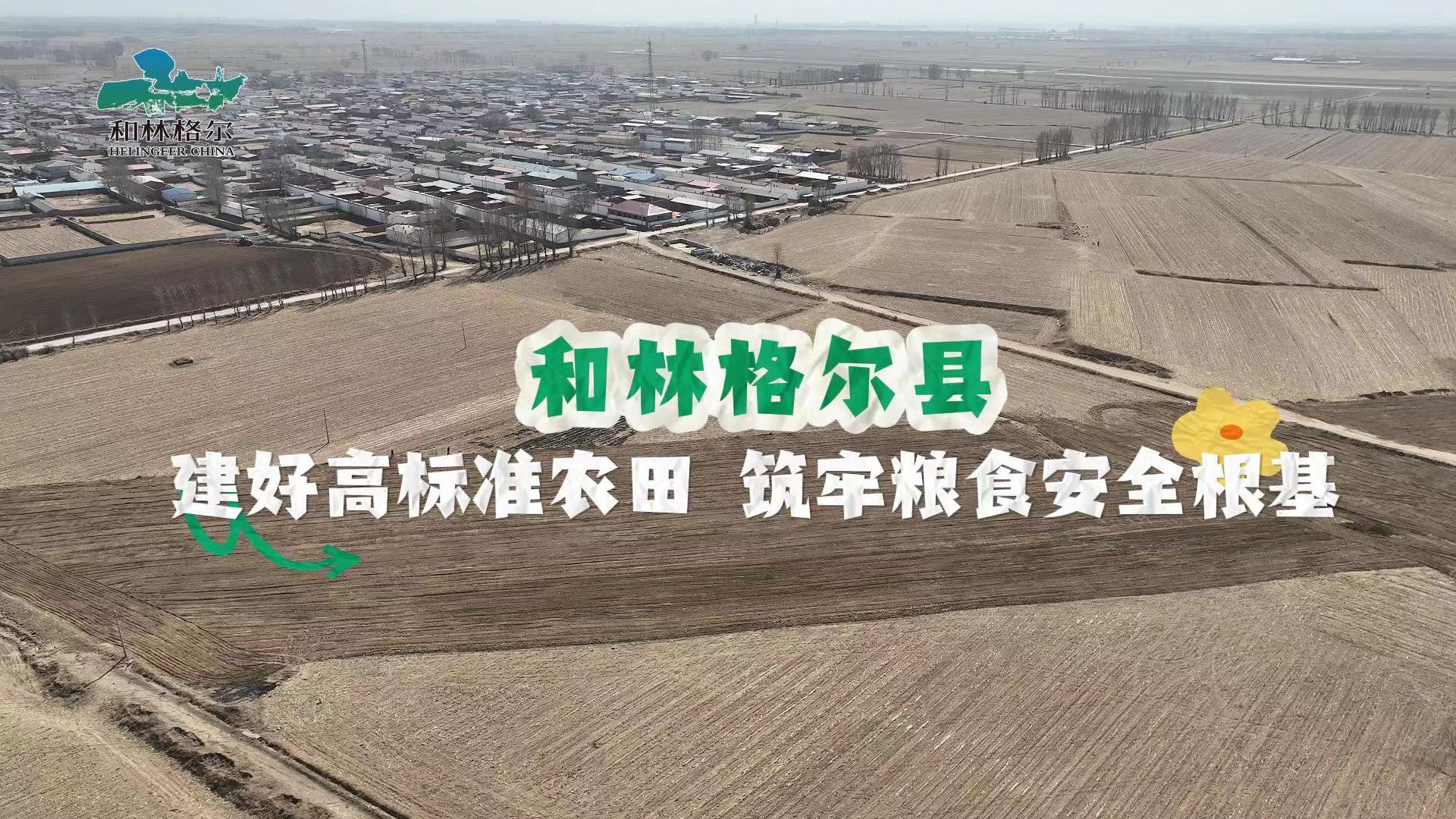 和林格爾縣建好高標(biāo)準(zhǔn)農(nóng)田 筑牢糧食安全根基