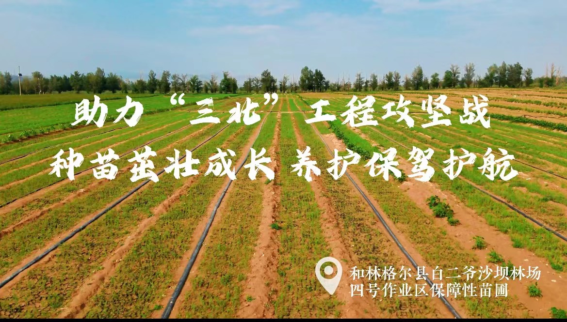 助力“三北”	工程攻堅(jiān)戰(zhàn)	 種苗茁壯成長 養(yǎng)護(hù)保駕護(hù)航