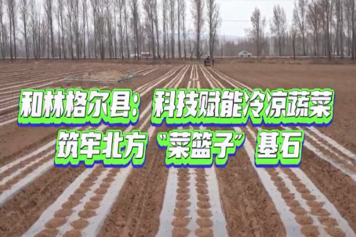 和林格爾縣：科技賦能冷涼蔬菜 筑牢北方“菜籃子”基石